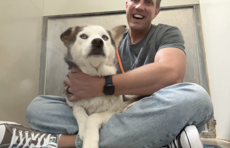 Faith: A Dog's Journey from Trauma to Trust